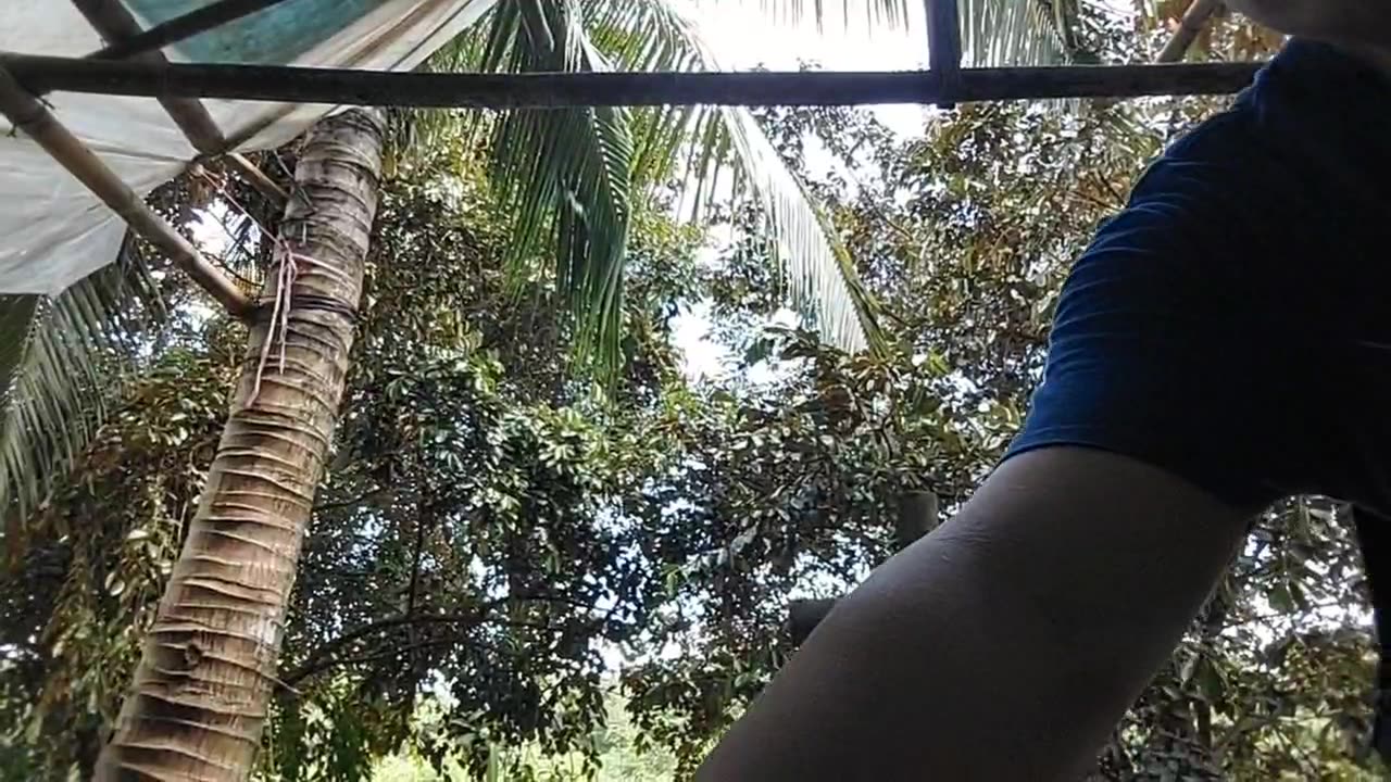 Sunday, 5th October 2025, DWG Sunday School