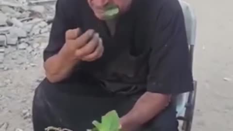 People are eating leaves of trees in extreme hunger in the blockaded Gaza!