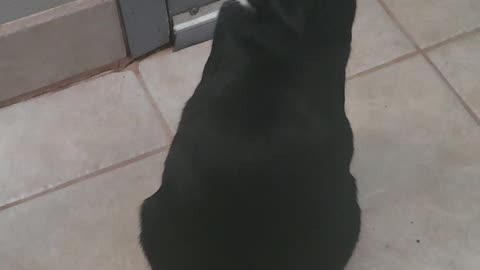 Omg