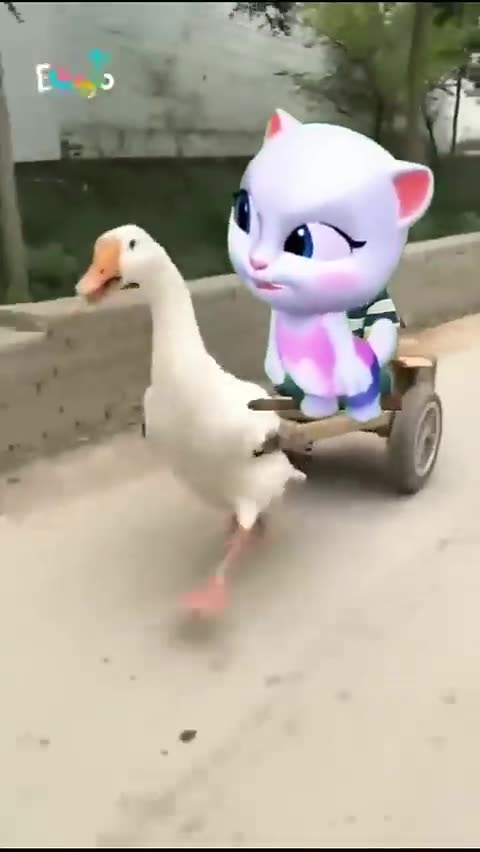 Talking cat comedy videos #talkingcat