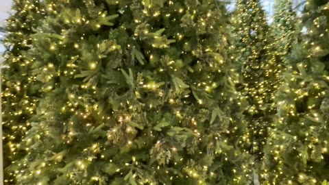 Santa in the Park at Westfield Topanga – Holiday Magic Awaits #shorts