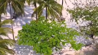 Beautiful locations nature Beautiful beaches Beautiful scenery nature
