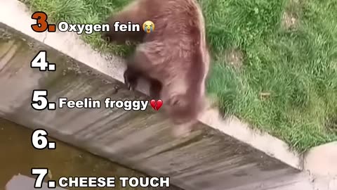 Funniest Video On Earth