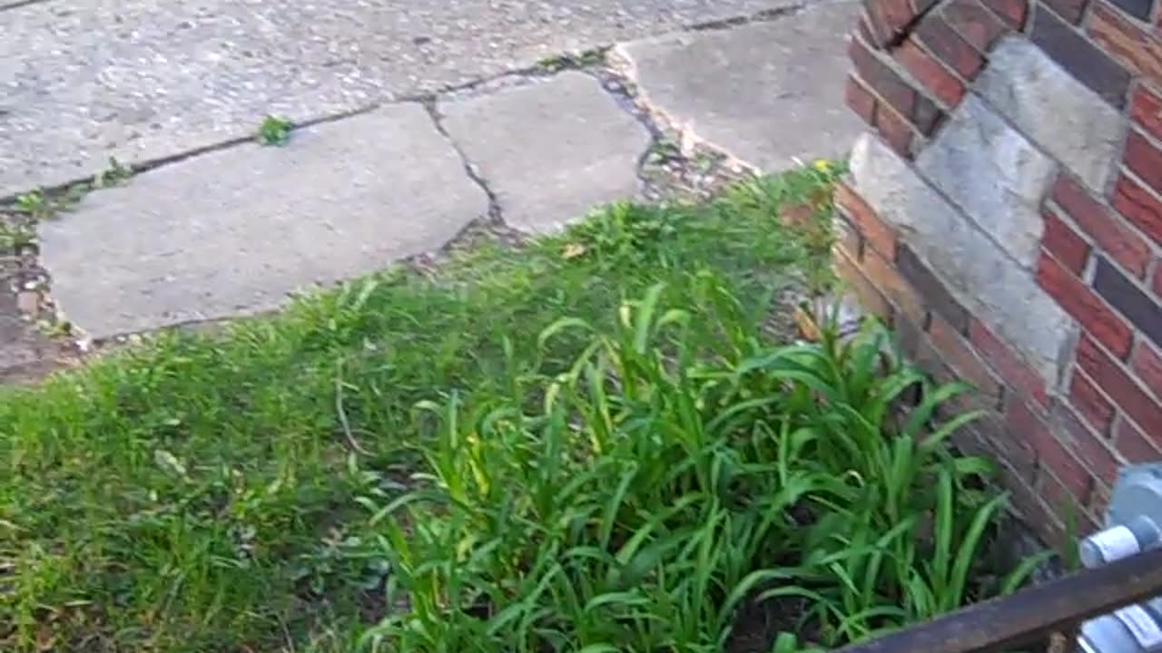 Ok Steve, getting u up and running, THE SHEA Show