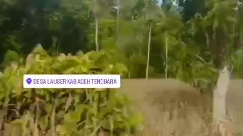 road to Aceh