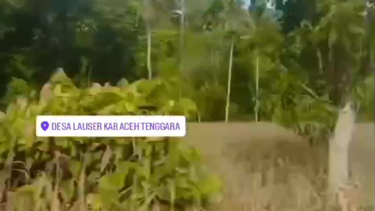 road to Aceh