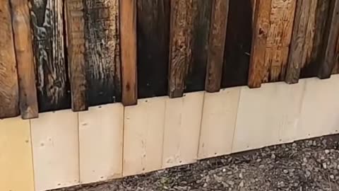 Cabin Build_ Prepping for Long Life - Treat the Bottoms!#livingoffgrid