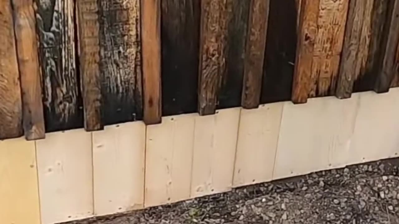 Cabin Build_ Prepping for Long Life - Treat the Bottoms!#livingoffgrid