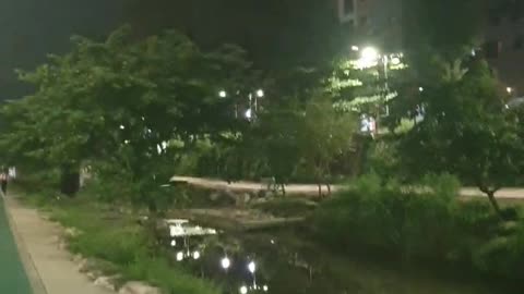 250908..반국가 세력들 타도하라!!!