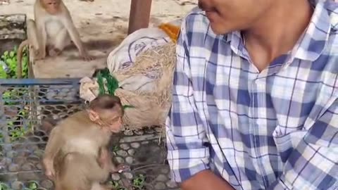 Playing with monkey 🐒