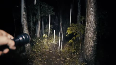 a vlog in the middle of the forest at night, accompanied by rain