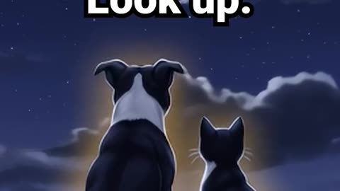 Pause. Breathe. Look up. #lofihiphop #anxietyrelief #calmingmusic #cute #lofimusic #lofibeats