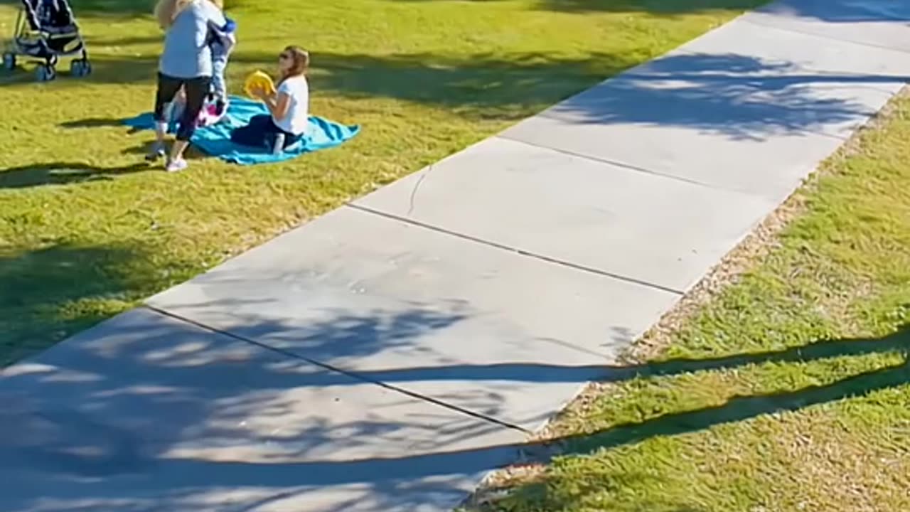 HEROIC DOG PROTECTS HIS BOY!!