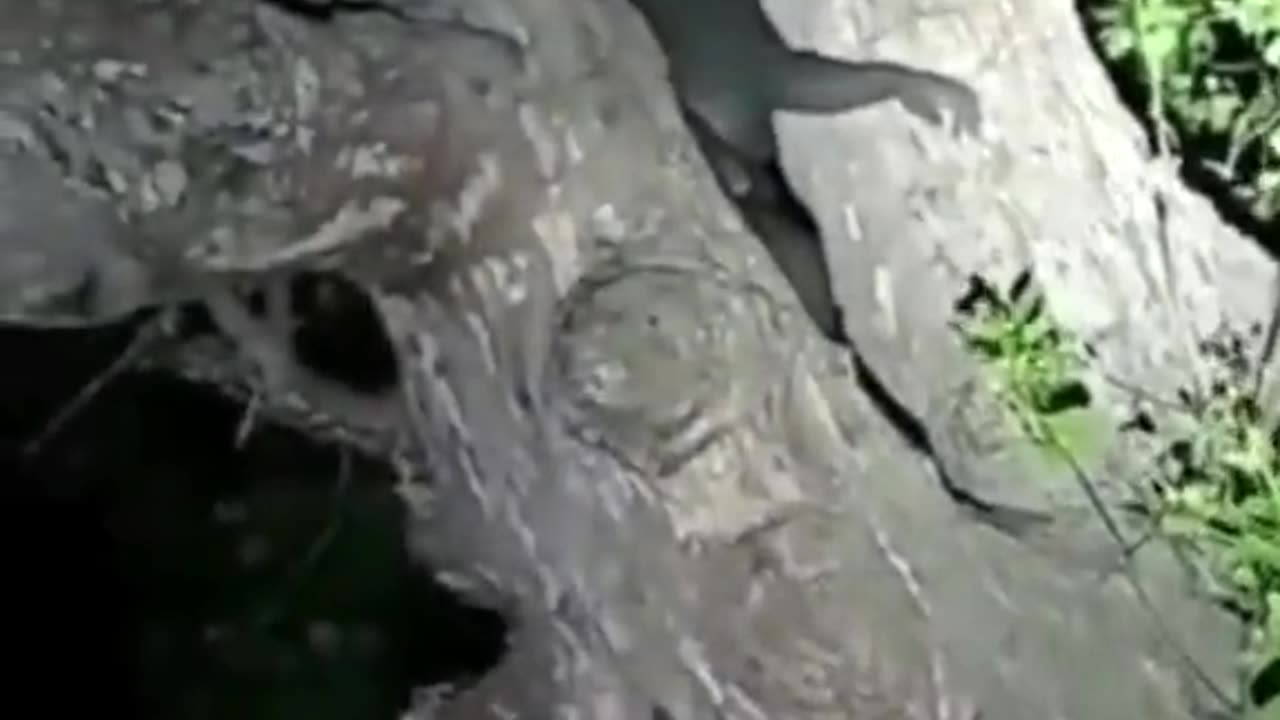 😨👹 Demon or Entity? 5 Seconds of Terror | TheHauntingHour