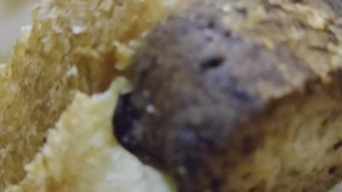 What was in this Bread?!...