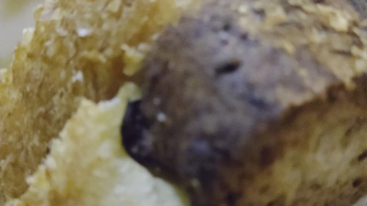 What was in this Bread?!...