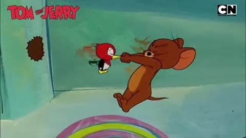 Cartoon video