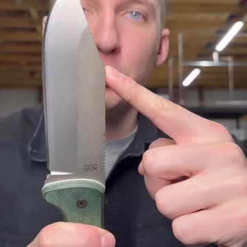 KNIFE OF THE DAY! 2025 Momentum | Shed Knives #shedknives