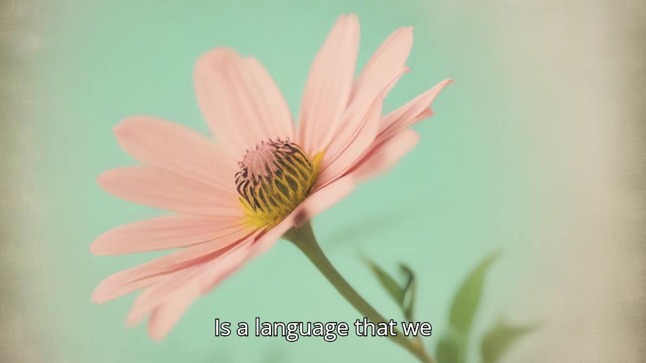 Silent Words