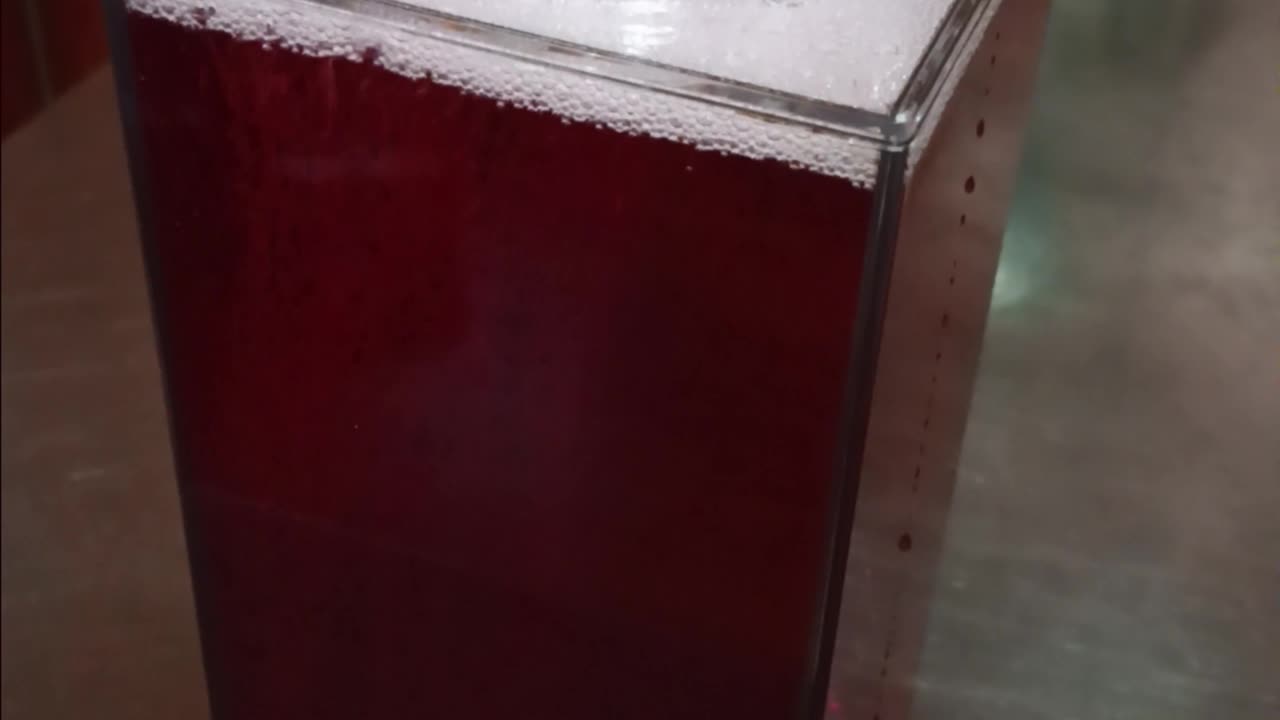 Juice Pouring ASMR #asmr #satisfying #juice #juicy