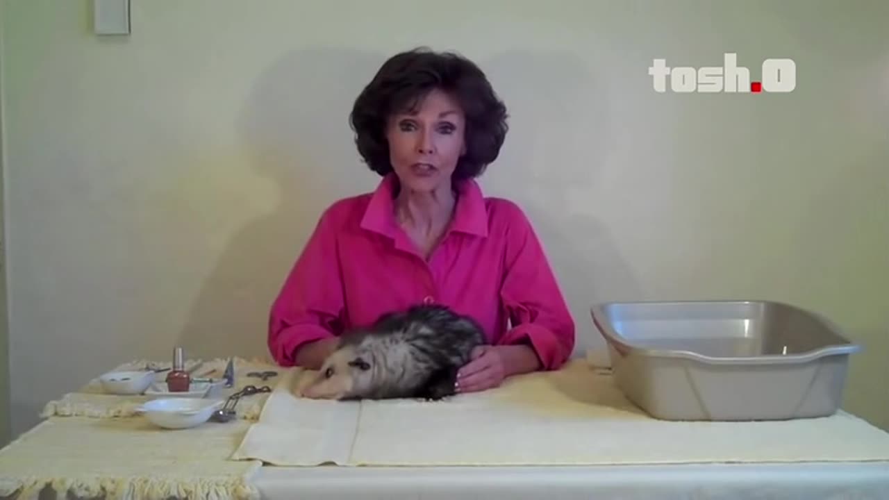 Tosh.0 - [07x28] - Possum Lady