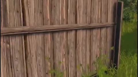 A 1000 DayZ IQ