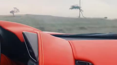 💨🏎️ The Sound of this V12 is PURE Symphony! | LuxurySportsCars