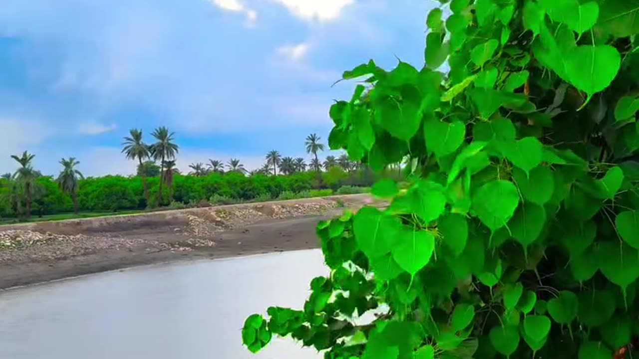 Enchanting Village Views That Will Take Your Breath Away! #maxrecords #nature #vlog