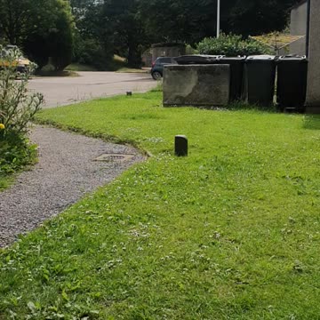 Perverting the course of justice!