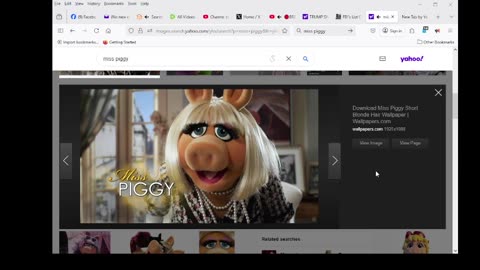 MADGIE THE BLACK OWL IS MISS PIGGY