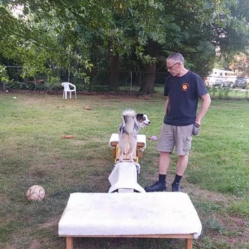 Soccer ball play with platforms and balance 3