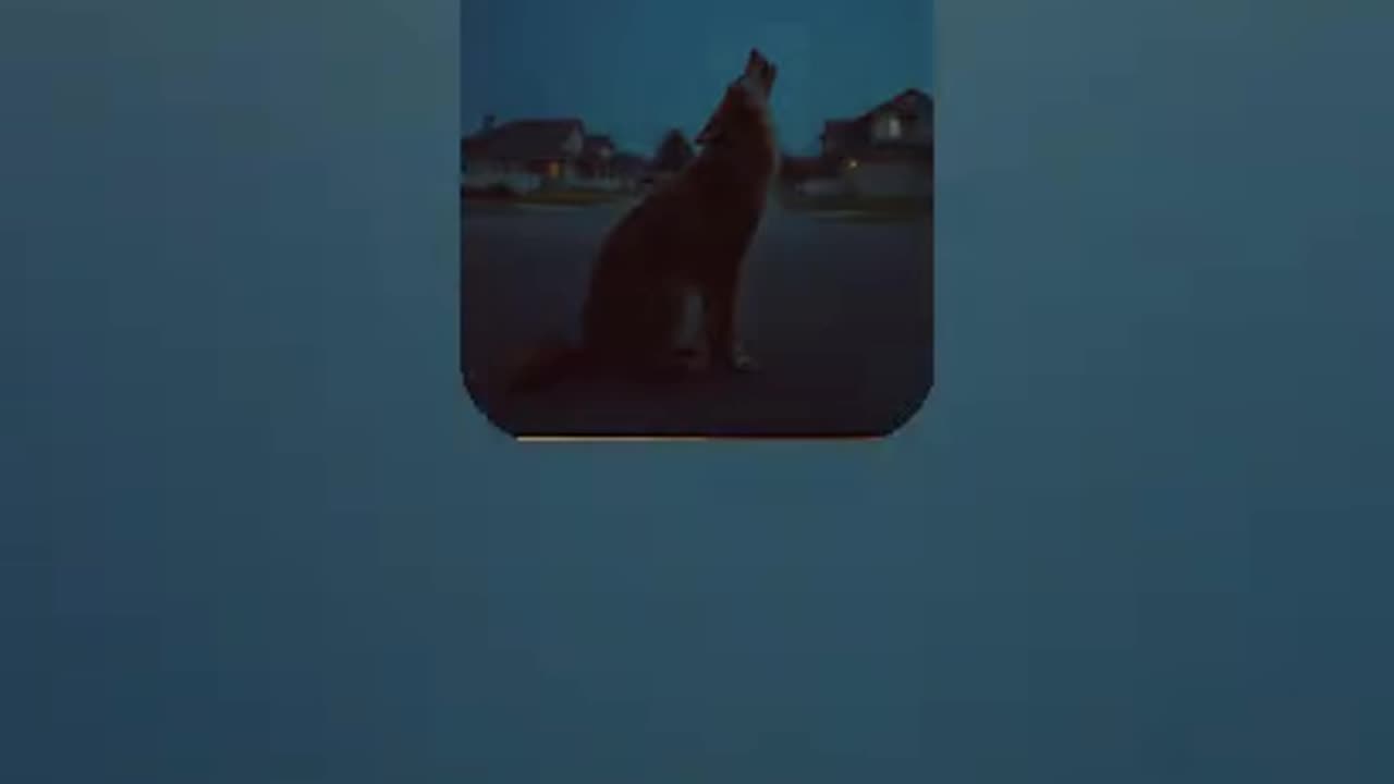 Nothing Blues