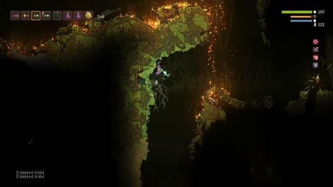 Noita (PC) E1.20
