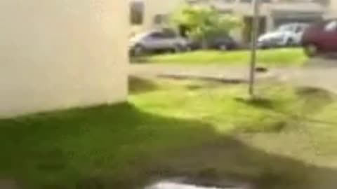 Laquan Kicks Racist Cat Into Building For Meowing The N Word