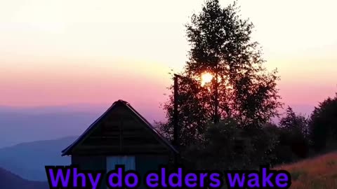 Insomnia Facts#ElderCare 🧓 #SleepTips 😴 #CalmNights 🌙 #RestEasy 🛏️ #GoldenYears 🌟