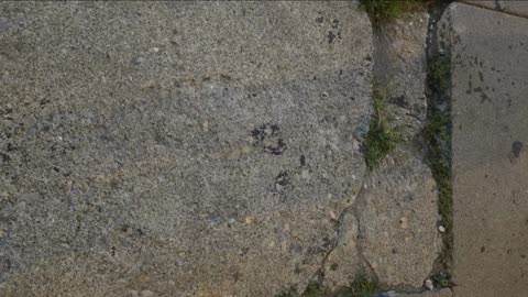 Raw Freestyle Snippet