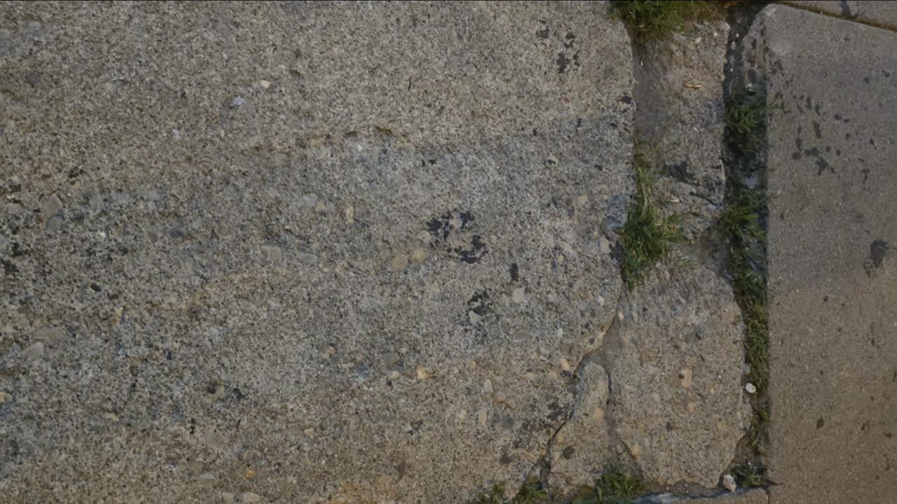 Raw Freestyle Snippet