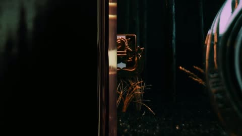 Ghosts in the Machine 1.5