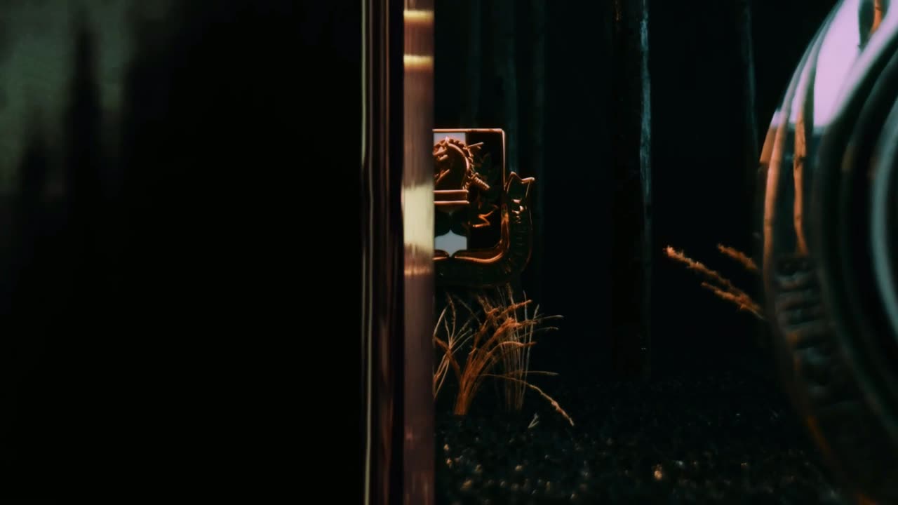 Ghosts in the Machine 1.5