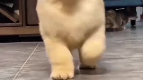 Stay till the end for the fnnies thing ever!