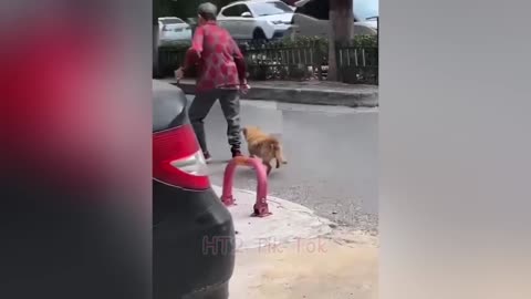 TRY NOT TO LAUGH CHALLENGE! 😅