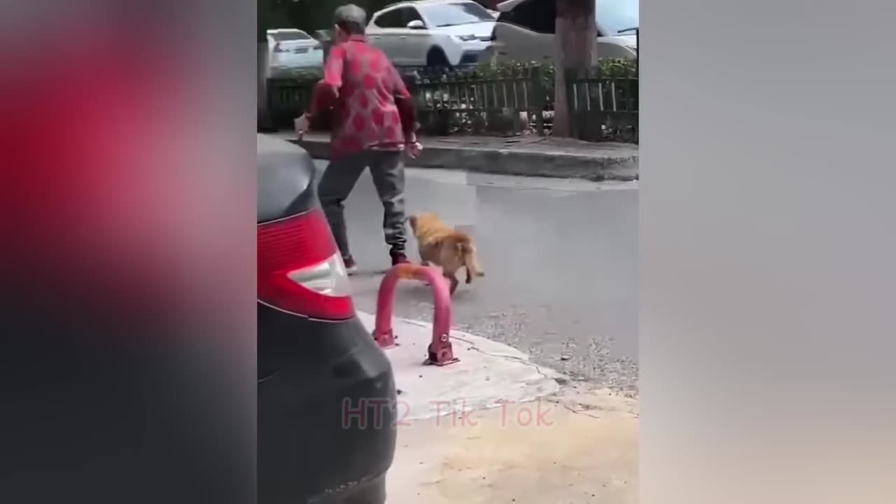 TRY NOT TO LAUGH CHALLENGE! 😅