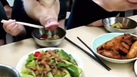 "Pig at a 5-Star Hotel: Fine Dining Gone Hog-Wild!"