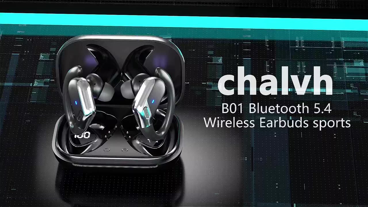 Wireless Bluetooth Earbuds