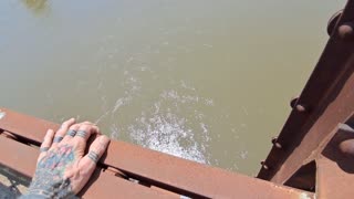2 DAYZAGO - BRIDGE & RIVER ADVENTURE - #3