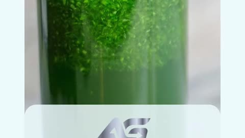energy and stamina for workout motivation