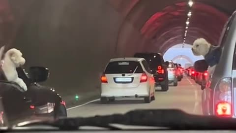 Love at first sight 😍