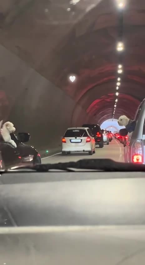 Love at first sight 😍