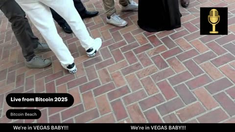 Bitcoin Vegas Live - DeOrganized Media at #Bitcoin2025