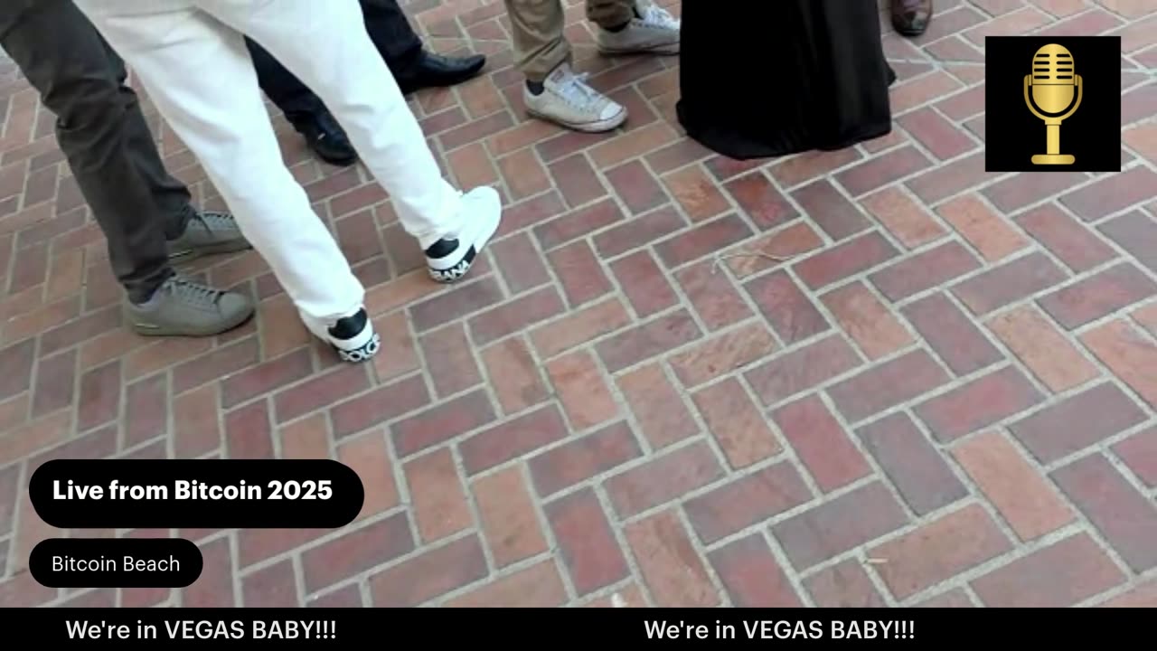 Bitcoin Vegas Live - DeOrganized Media at #Bitcoin2025